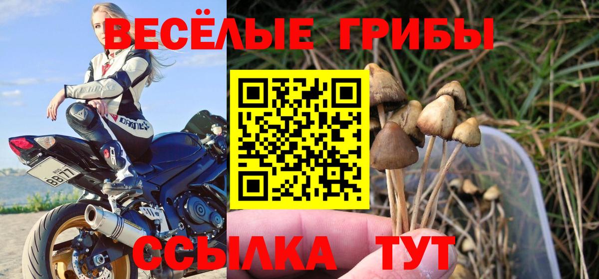 Псилоцибиновые грибы мицелий  Вход с VPN  Углич 