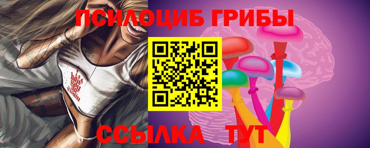 Псилоцибиновые грибы Magic Shrooms Углич
